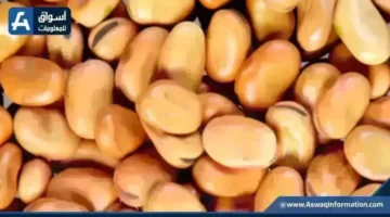 تغيرات في أسعار الفول البلدي لدى التجار بختام تعاملات يوم الأربعاء الحالي